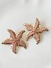 Boucles étoile de mer rose doré